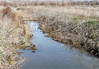3rd image of 5435 Highway 52