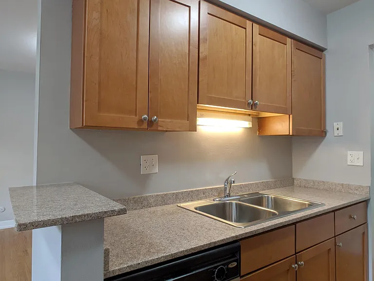 522 W Oakdale Ave #525-402 — Photo 7