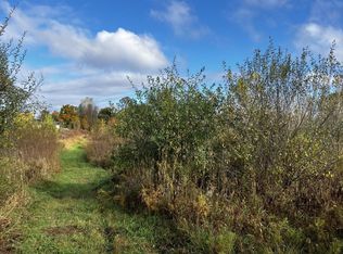 0 Brimley Rd, Webberville, MI 48892