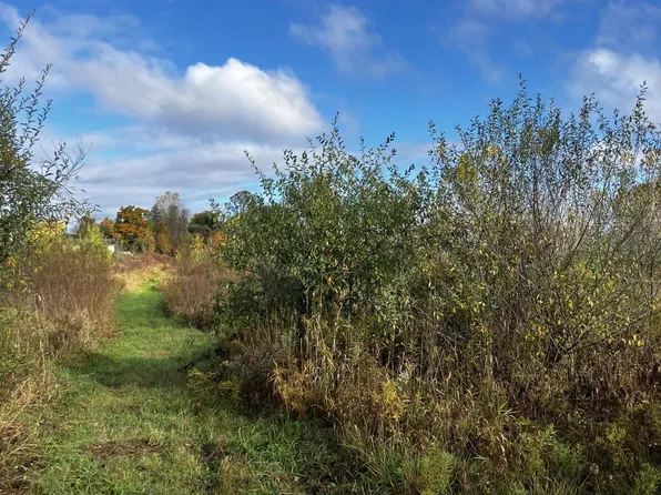 0 Brimley Rd, Webberville, MI 48892