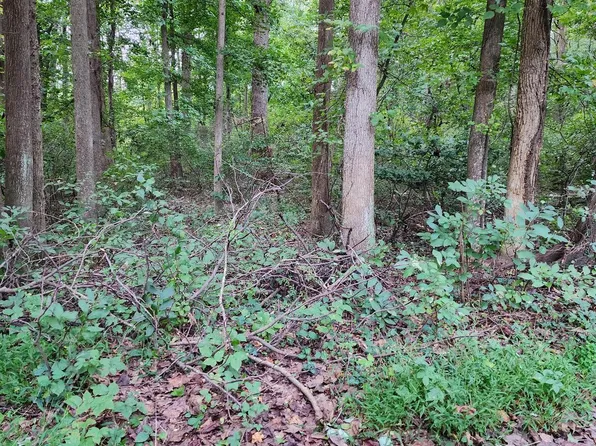 23000 Booker Washington Ave, Aquasco, MD 20608