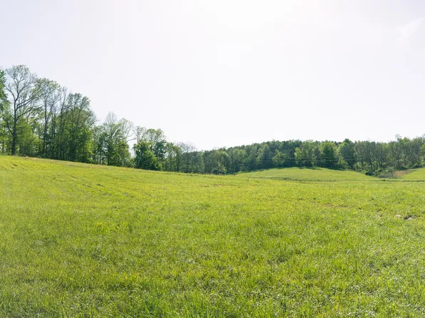 41492 Fitzpatrick Rd, Vinton, OH 45695