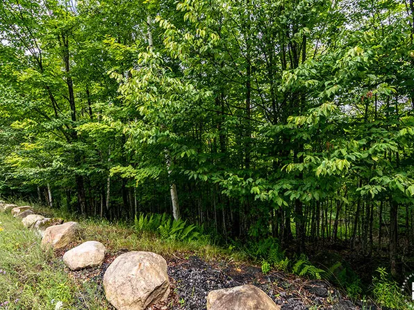14 Mount Pisgah Ln, Saranac Lake, NY 12983