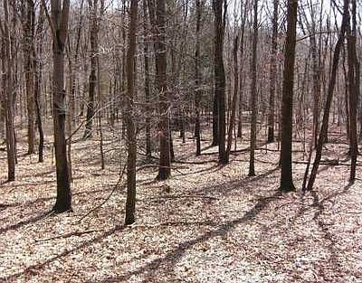 1st image of 1242 Route 284 #Nys