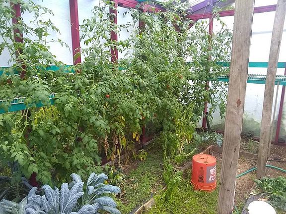 Greenhouse