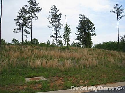 Street view
						:
						View from street looking at the lot.