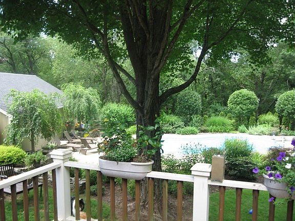 Landscaped Pool Setting as seen from MBR Balcony