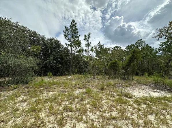 SE 128th Ave Lot 3, Dunnellon, FL 34431