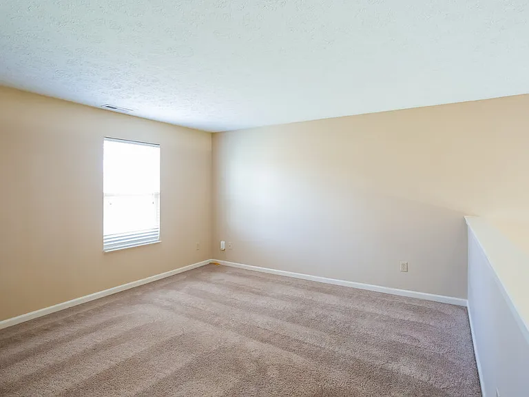 2962 Limber Pine Dr — Photo 11