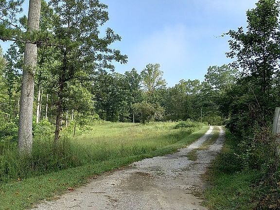 Looking out driveway, 