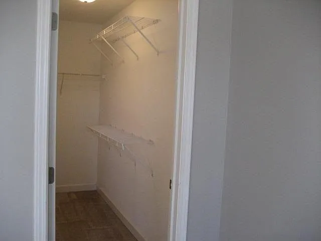 Bedroom 1 Walk-In Closet