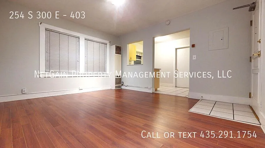 Downtown Adjacent 1BR Apartment Pet Friendly — Photo 3