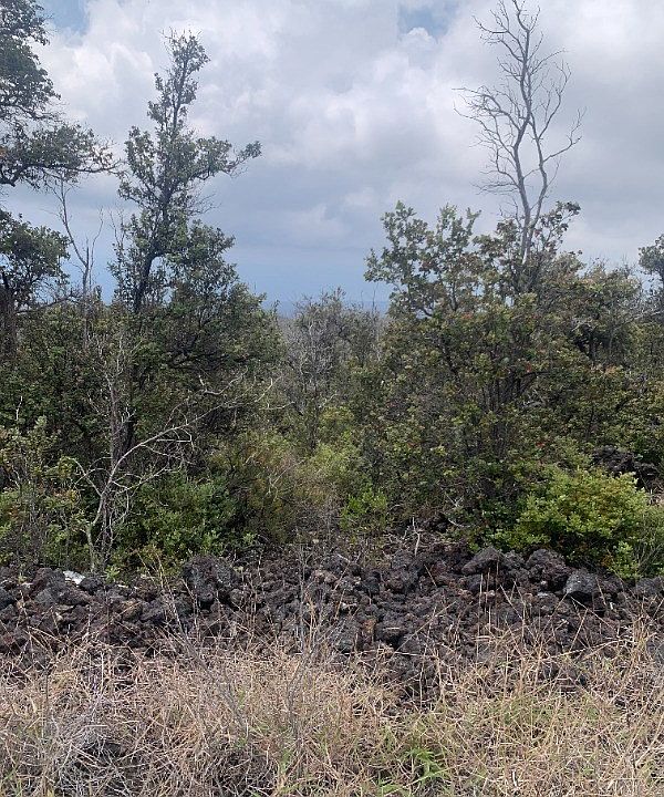 1st image of Palm Pkwy Lot 5