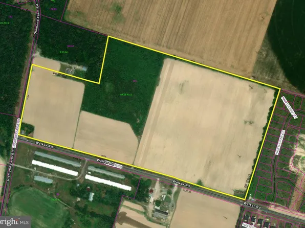 26725 Walker Rd, Milton, DE 19968