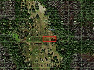 100 Old Grade City In The Est #OF, Polk City, FL 33868