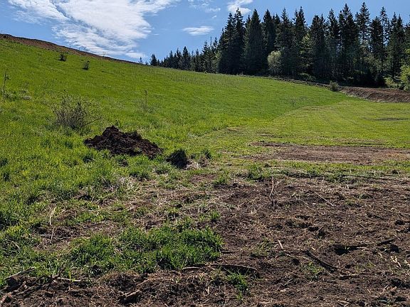 3rd image of Shenandoah First St