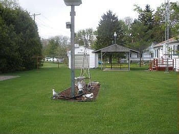 another pic of large back yard