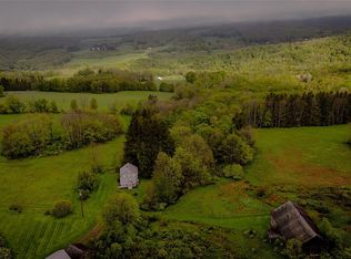 187 Hahn Rd, Livingston Manor, NY 12758