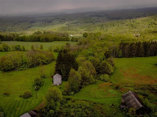 187 Hahn Road, Callicoon Center, NY 12758