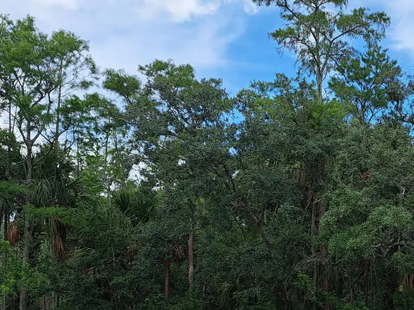 0 Balog Ct N, Grant, FL 32949