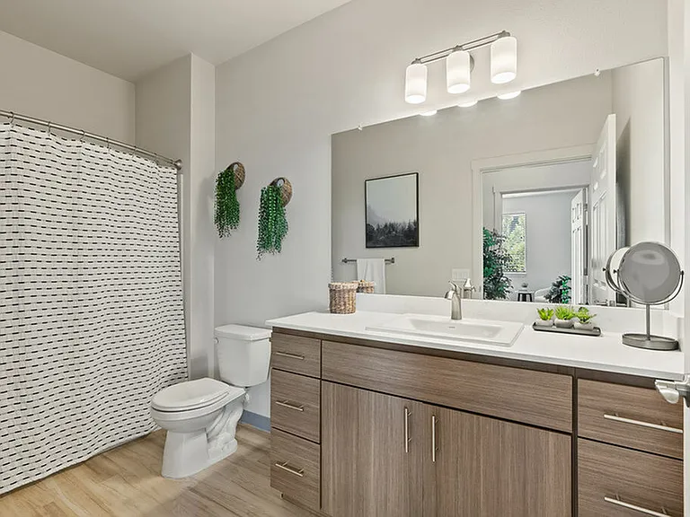 Modern Bathroom