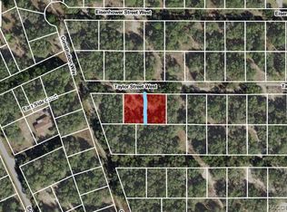 3013 Taylor St W, Inverness, FL 34453
