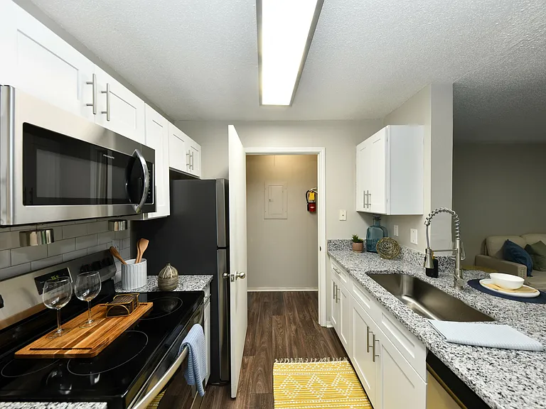 Granite Counters + Modern Cabinetry