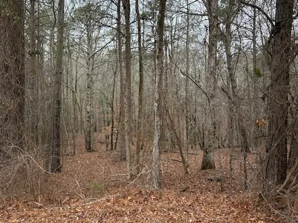 120 Smokey Point, Athens, GA 30601