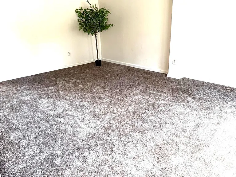 12866 Bison Ct — Photo 6