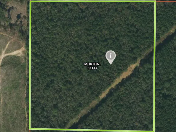 No Smith Co Rd #502, Pulaski, MS 39152