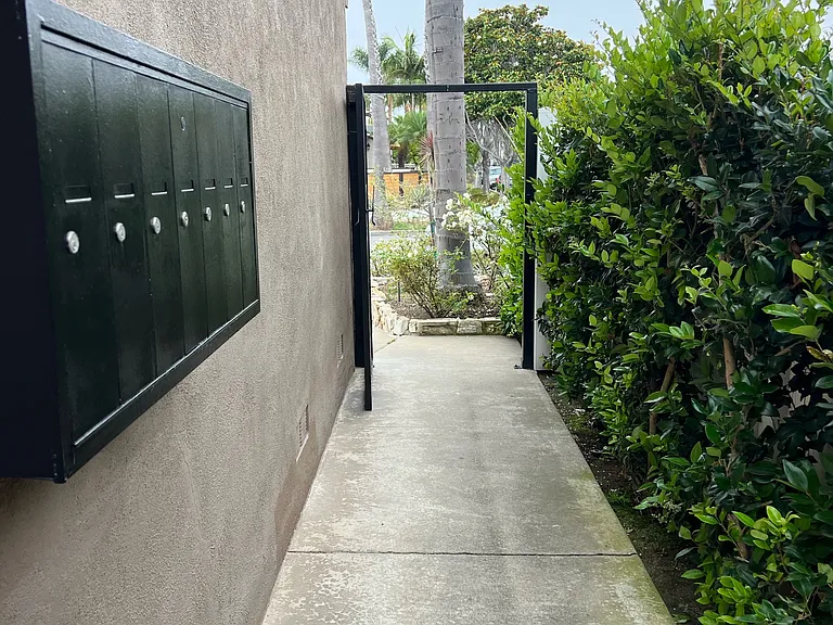 walkway towards palm
