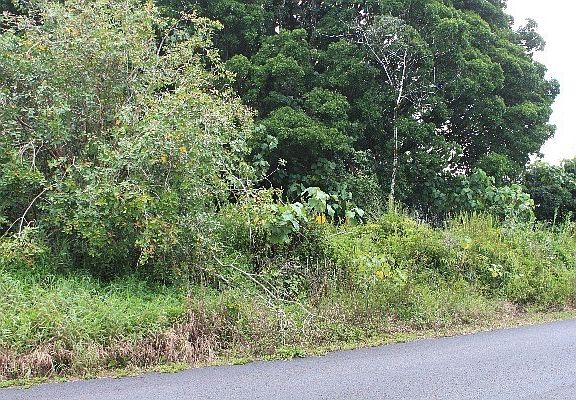 2nd image of 26th Ave Lot 308