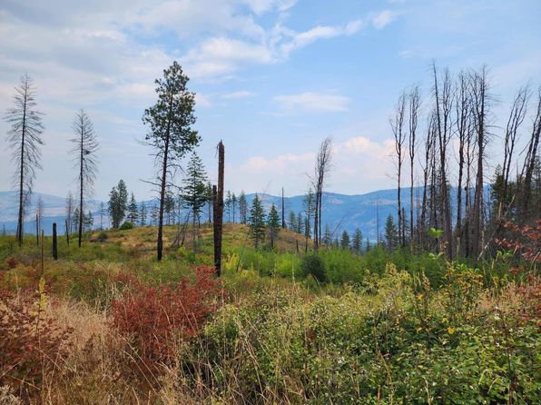 Xx Matsen Creek Rd, Kettle Falls, WA 99141
