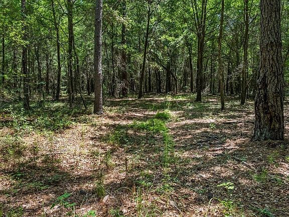 4th image of TBD 5.3 Acres Springtown Rd