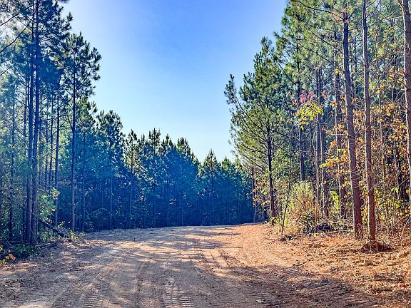 4th image of 0 Highway 232 S Lot 4