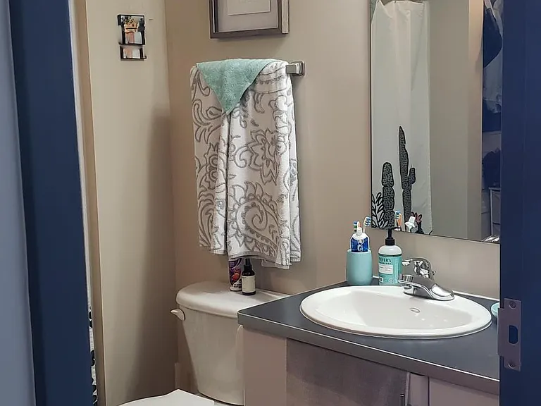 Bathroom, decorated.