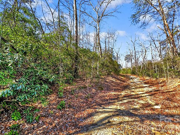 3rd image of 301 Black Pine Dr