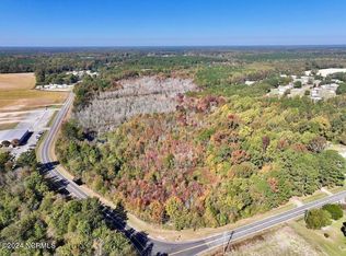 0 Buck Swamp Rd, Pikeville, NC 27863