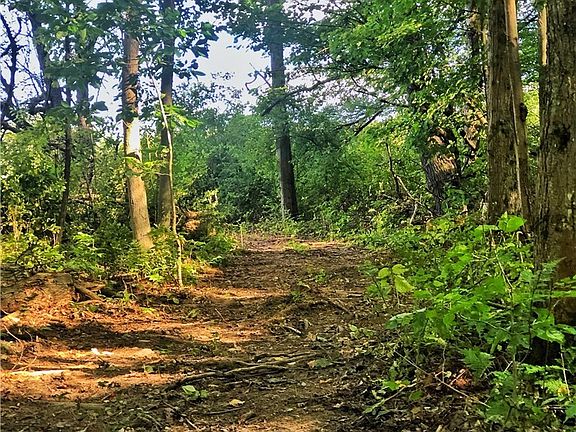 4th image of 1004 Wigren Rd Lot 18