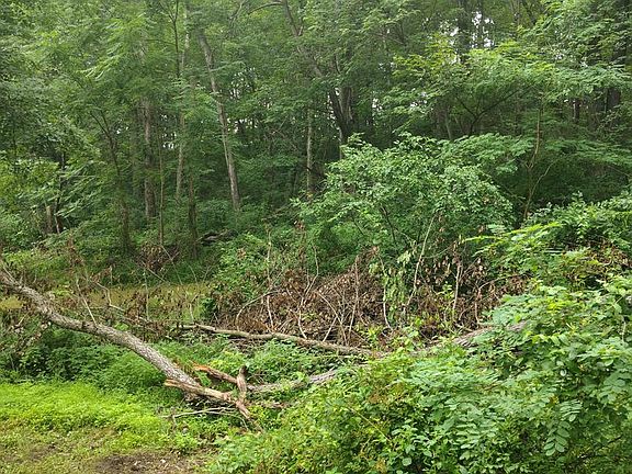 4th image of 1685 Burkholder Rd