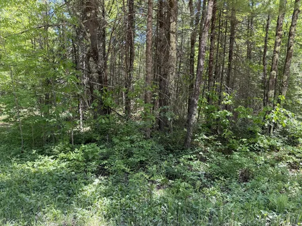 Lt2 WESTBERG ROAD, Amberg, WI 54102