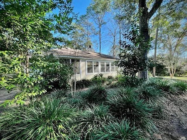 The back is shaded. Flowers bloom all year in sunny Florida.