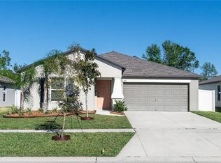 13355 Willow Bluestar Loop, Riverview, FL 33579