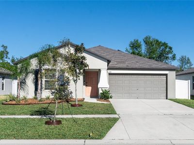 13355 Willow Bluestar Loop, Riverview, FL, 33579