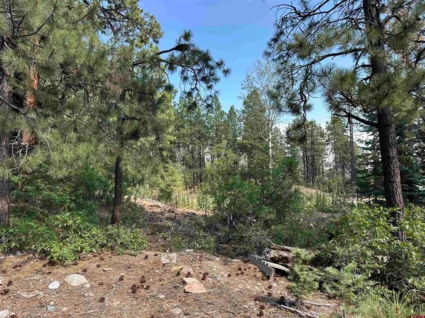 186 Pine Ridge, Bayfield, CO 81122