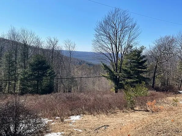 110 Mount Meenagha Rd, Ellenville, NY 12428