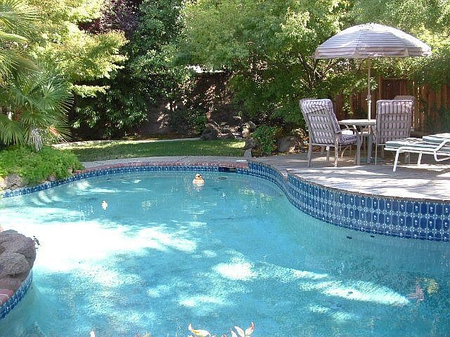 Paradise