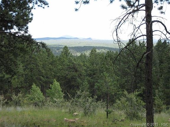 5th image of 2082 Pikes Peak Dr