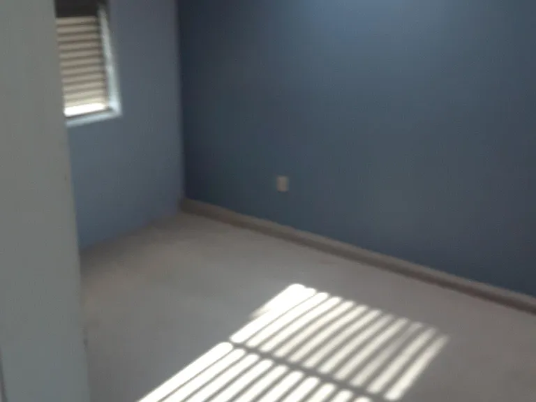 167 Halsey St — Photo 4