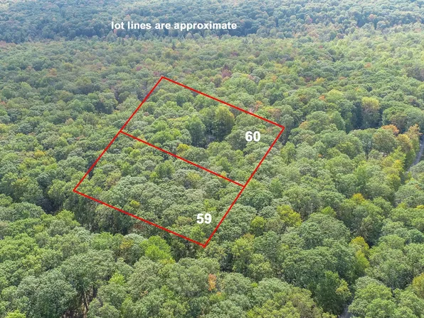 Lots 59 & 60 Cedar Ln, Oakland, MD 21550